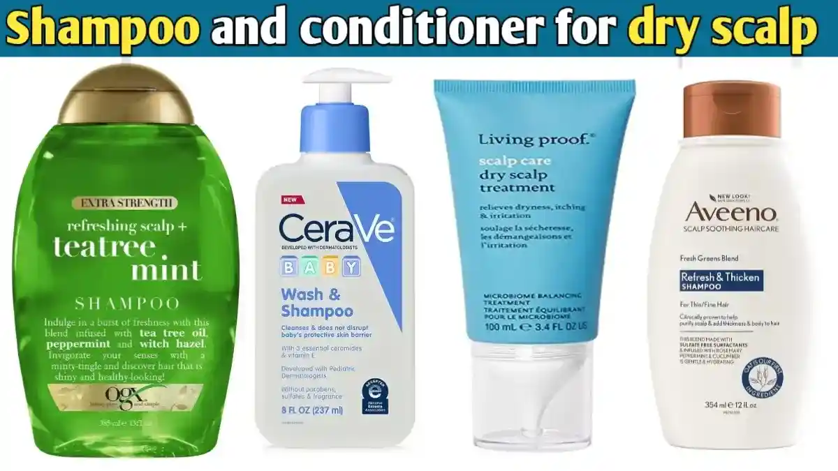 Best shampoo and conditioner for dry scalp