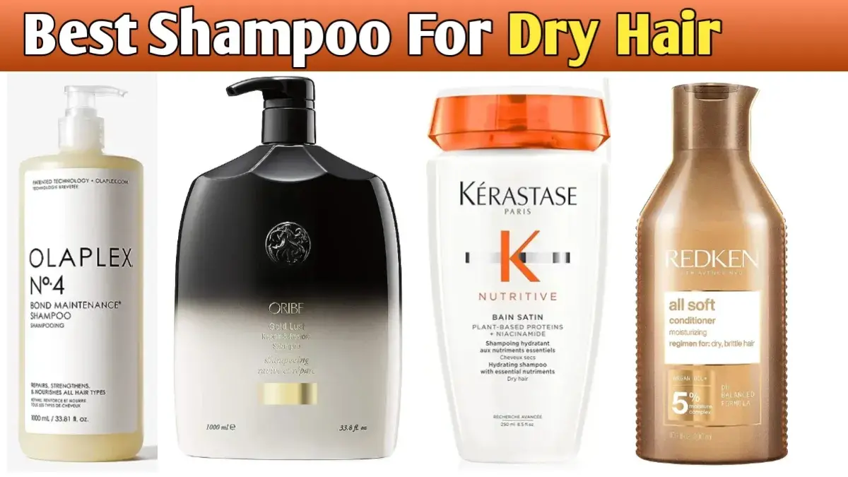 What Is The Best Shampoo For Dry Hair | Top 7 Best Shampoo For Dry Hair ...